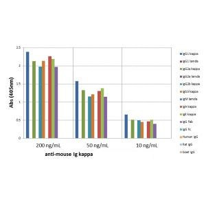 Mouse Kappa Light Chain Secondary Antibody in ELISA (ELISA)