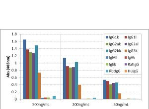 Mouse IgG (H+L) Secondary Antibody in ELISA (ELISA)