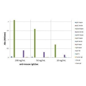 Mouse IgG2a (Kappa light chain) Secondary Antibody in ELISA (ELISA)