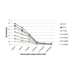 Mouse IgG2a (Kappa light chain) Secondary Antibody in ELISA (ELISA)