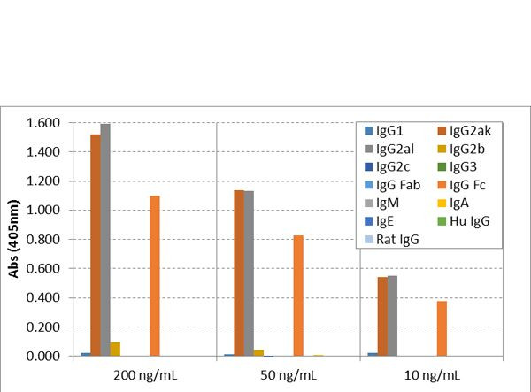 Mouse IgG2a Secondary Antibody in ELISA (ELISA)