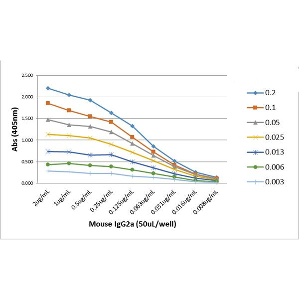 Mouse IgG2a Secondary Antibody in ELISA (ELISA)