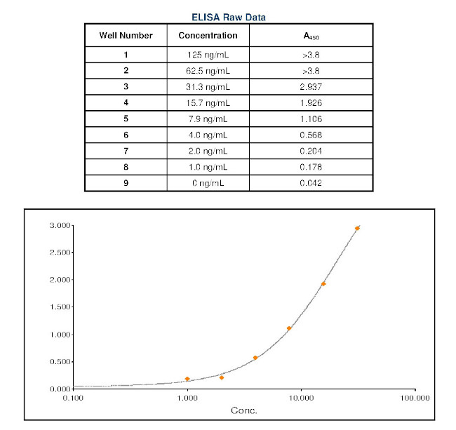 Cotton Rat IgG (H+L) Secondary Antibody in ELISA (ELISA)