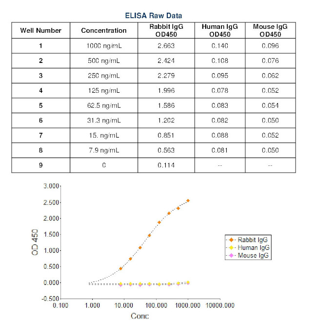 Rabbit IgG (H+L) Cross-Adsorbed Secondary Antibody in ELISA (ELISA)