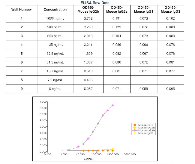 Mouse IgG2b Secondary Antibody in ELISA (ELISA)