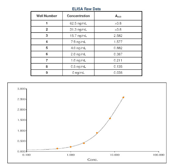 Mouse IgG Fc Secondary Antibody in ELISA (ELISA)