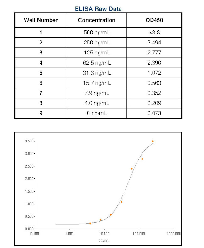 Rat IgM Secondary Antibody in ELISA (ELISA)