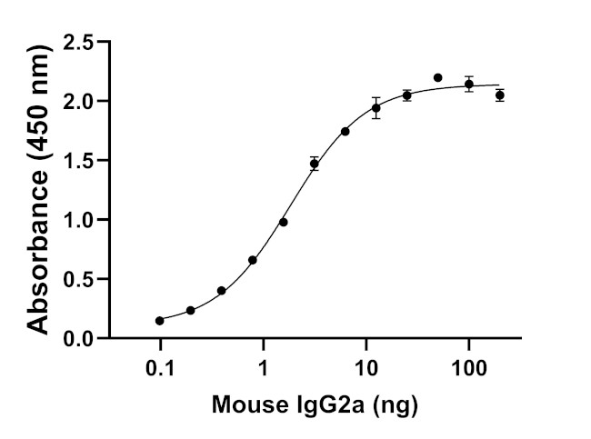 Mouse IgG2a Secondary Antibody in ELISA (ELISA)