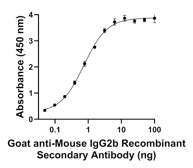 Mouse IgG2b Secondary Antibody in ELISA (ELISA)