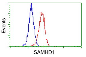 SAMHD1 Antibody in Flow Cytometry (Flow)