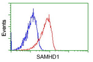 SAMHD1 Antibody in Flow Cytometry (Flow)