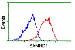 SAMHD1 Antibody in Flow Cytometry (Flow)