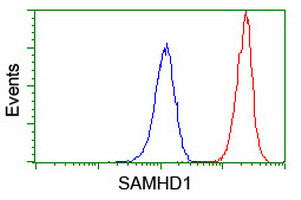 SAMHD1 Antibody in Flow Cytometry (Flow)