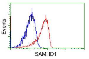 SAMHD1 Antibody in Flow Cytometry (Flow)