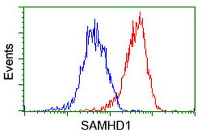 SAMHD1 Antibody in Flow Cytometry (Flow)