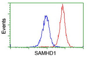 SAMHD1 Antibody in Flow Cytometry (Flow)