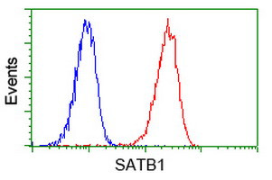 SATB1 Antibody in Flow Cytometry (Flow)