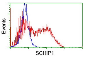 SCHIP1 Antibody in Flow Cytometry (Flow)