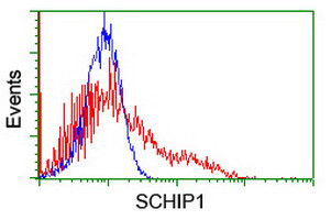 SCHIP1 Antibody in Flow Cytometry (Flow)