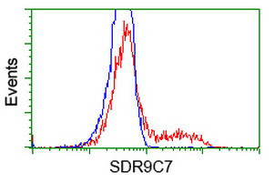 SDR9C7 Antibody in Flow Cytometry (Flow)