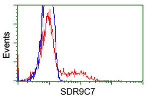 SDR9C7 Antibody in Flow Cytometry (Flow)