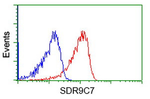 SDR9C7 Antibody in Flow Cytometry (Flow)