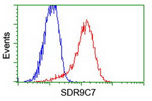 SDR9C7 Antibody in Flow Cytometry (Flow)