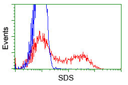 SDS Antibody in Flow Cytometry (Flow)