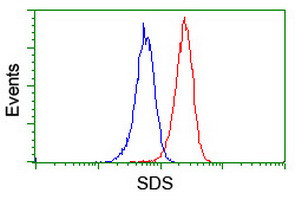 SDS Antibody in Flow Cytometry (Flow)