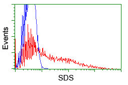 SDS Antibody in Flow Cytometry (Flow)