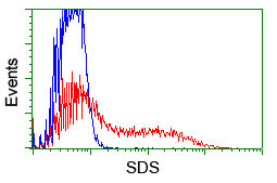 SDS Antibody in Flow Cytometry (Flow)