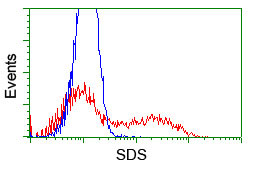 SDS Antibody in Flow Cytometry (Flow)