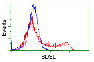 SDSL Antibody in Flow Cytometry (Flow)
