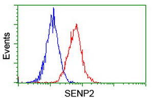SENP2 Antibody in Flow Cytometry (Flow)