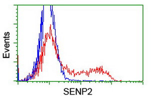 SENP2 Antibody in Flow Cytometry (Flow)