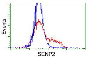 SENP2 Antibody in Flow Cytometry (Flow)