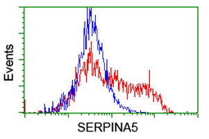 SERPINA5 Antibody in Flow Cytometry (Flow)