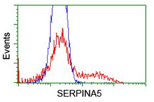 SERPINA5 Antibody in Flow Cytometry (Flow)