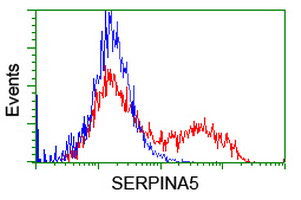 SERPINA5 Antibody in Flow Cytometry (Flow)