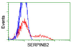 SERPINB2 Antibody in Flow Cytometry (Flow)