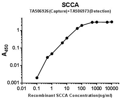 SERPINB3 Antibody in ELISA (ELISA)