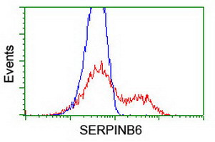 SERPINB6 Antibody in Flow Cytometry (Flow)