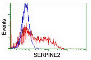 SERPINE2 Antibody in Flow Cytometry (Flow)
