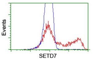 SETD7 Antibody in Flow Cytometry (Flow)