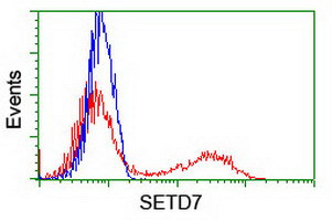 SETD7 Antibody in Flow Cytometry (Flow)