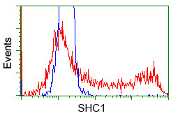 SHC1 Antibody in Flow Cytometry (Flow)