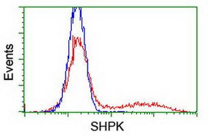 SHPK Antibody in Flow Cytometry (Flow)