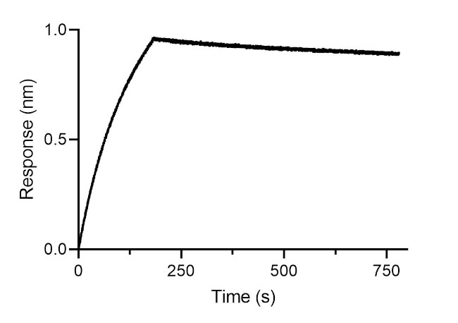 Human IgE VHH Secondary Antibody in Functional Assay (FN)