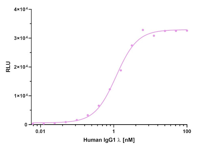 Human Ig, lambda-LC-specific VHH Secondary Antibody in ELISA (ELISA)