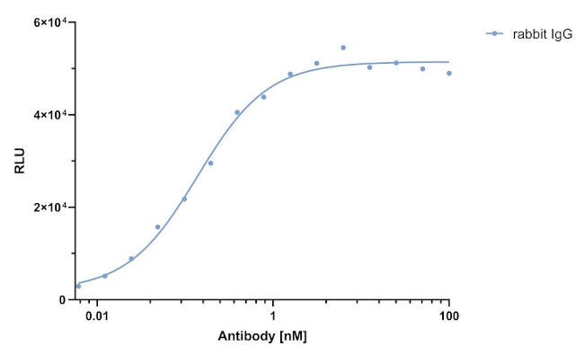Human IgG/rabbit IgG, Fc-specific VHH Secondary Antibody in ELISA (ELISA)